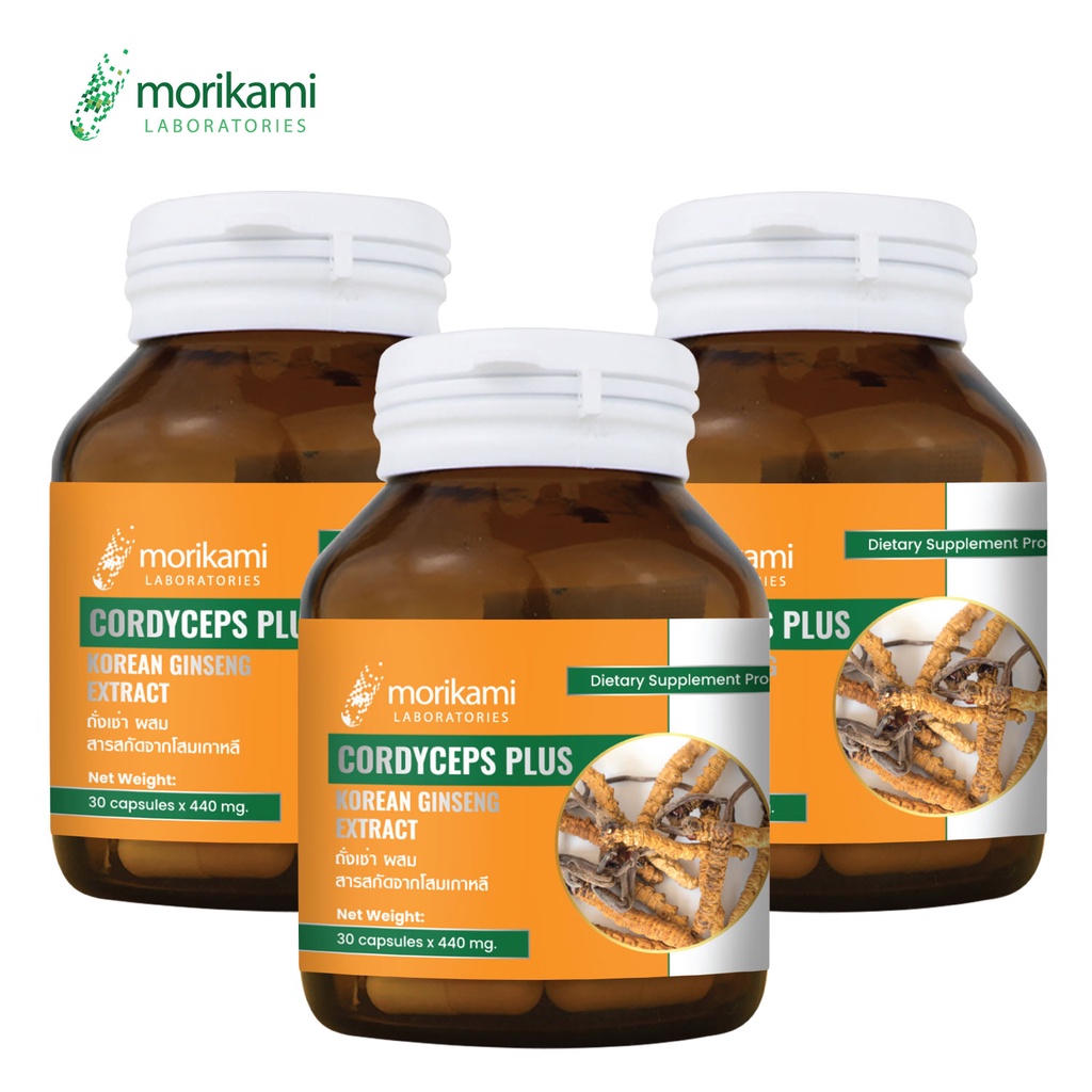 ของขวัญผู้ใหญ่ [แพ็ค 3 ขวด สุดคุ้ม] ถั่งเช่า พลัส โสมเกาหลี Cordyceps Plus Korean Ginseng morikami โมริคามิ โสมเกาหลี
