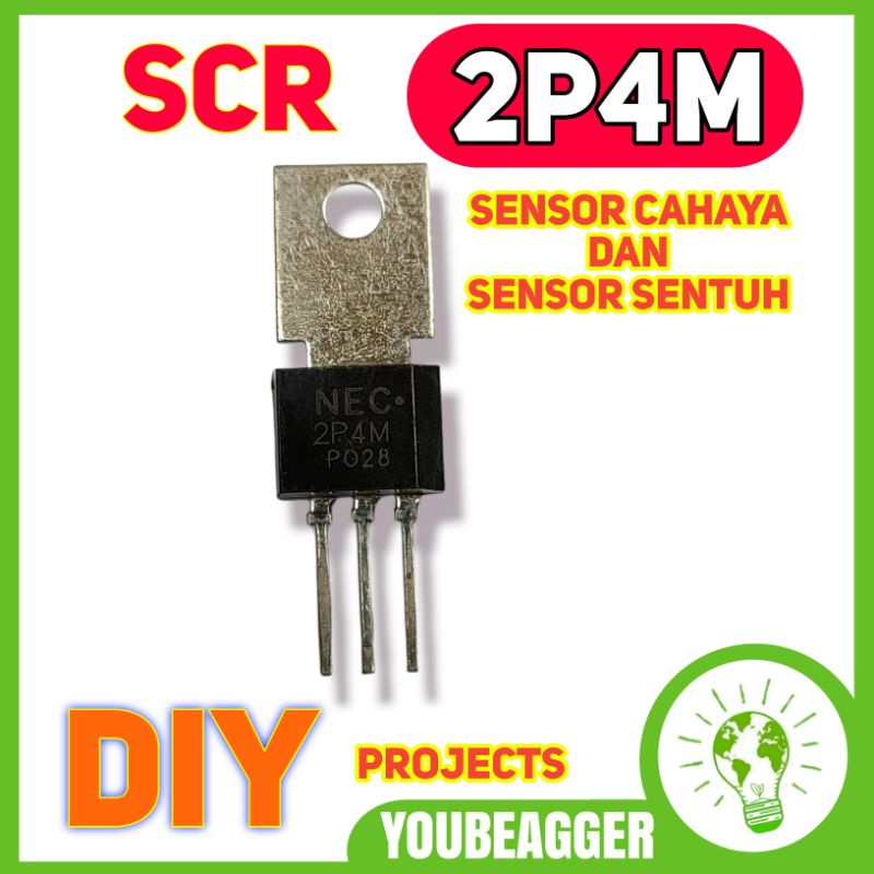 SCR 2P4M************