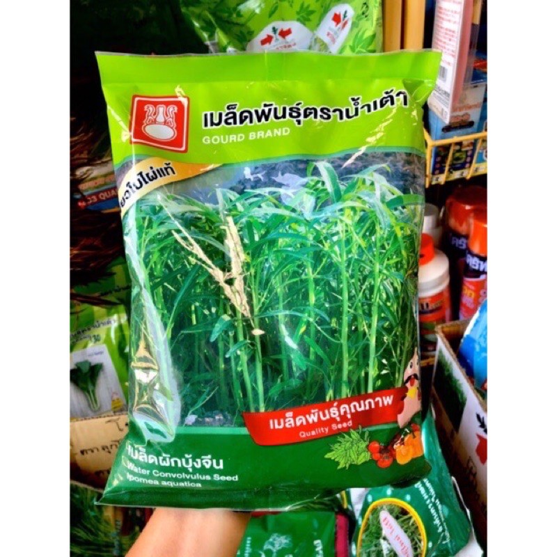🎋ผักบุ้งจีนใบไผ่ ใบเรียวเล็ก บุ้งแก้วน้ำเต้า (1 kg.) 🔥ถูกมากกกกก 🔥ราคาโปรมาจำนวนจำกัด🔥🔥 ( 1โล )