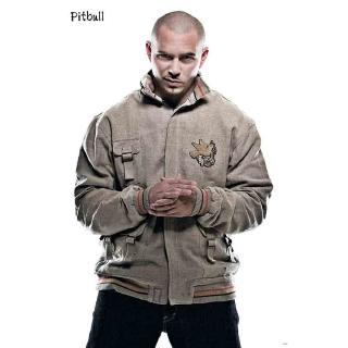 Pitbull, โปสเตอร์นักร้องต่างประเทศ AM/EU