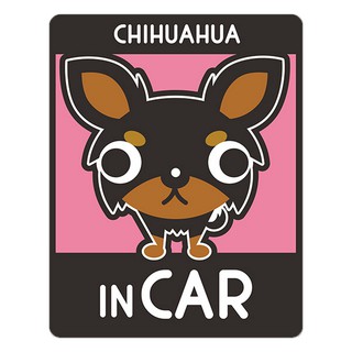 สติ๊กเกอร์ติดรถยนต์ BOA381 สติกเกอร์ติดรถ chihuahua in car สติ๊กเกอร์ติดรถสวยๆ Sticker