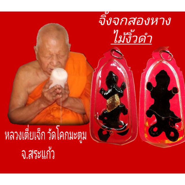 จิ้งจก​สอง​หาง​ ไม้​ง​ิ้วดำ หลวง​เตี่ย​เจ็ก​ วัด​โคก​มะตูม​ เลี่ยม​แ​ช่น​้ำมันจันทร์​
