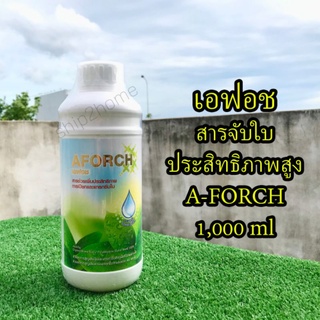 AFORCH เอฟอช สารจับใบคุณภาพสูง 1,000ml ช่วยลดแรงตึงผิวของน้ำ เพิ่มประสิทธิภาพการแทรกซึม ยึดเกาะใบ