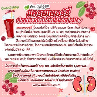 Herbal One Cranberry เฮอร์บัล วัน สารสกัดจากผลแครนเบอร์รี่ [60 แคปซูล]