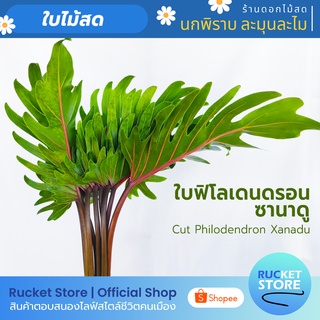 ใบฟิโลเดนดรอน ซานาดู | Cut Philodendron Xanadu