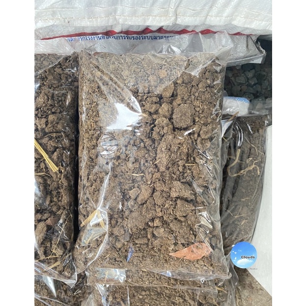 ขี้วัวแห้ง มลูวัว ปุ๋ยคอกแท้ วัวเลี้ยง