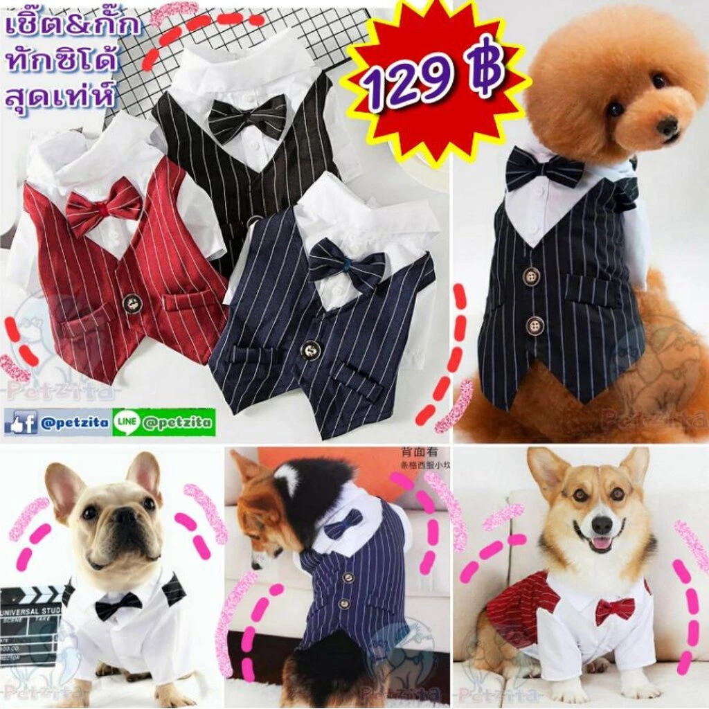 🇹🇭พร้อมส่ง🇹🇭 😎👔 เสื้อกั๊กสูท ทักซิโด้ งานแต่ง เสื้อออกงาน for สุนัข ( หมา ) , แมว