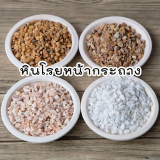 หินโรยหน้ากระถาง หินเกล็ด หินสี เเคคตัส กระบองเพชร