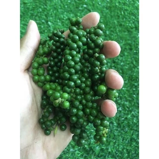 พริกไทยอ่อนสด - เม็ดพริกไทยอ่อน เมล็ดพริกไทยอ่อน พริกไทยร้อย คัดตัดแต่ง เต็มก้าน