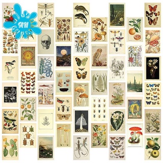 Vintage Aesthetic Wall Collage Kit - 50 Mini Botanical Cottagecore Collage Art Posters (4X6Inch), for Trendy Photo Wall