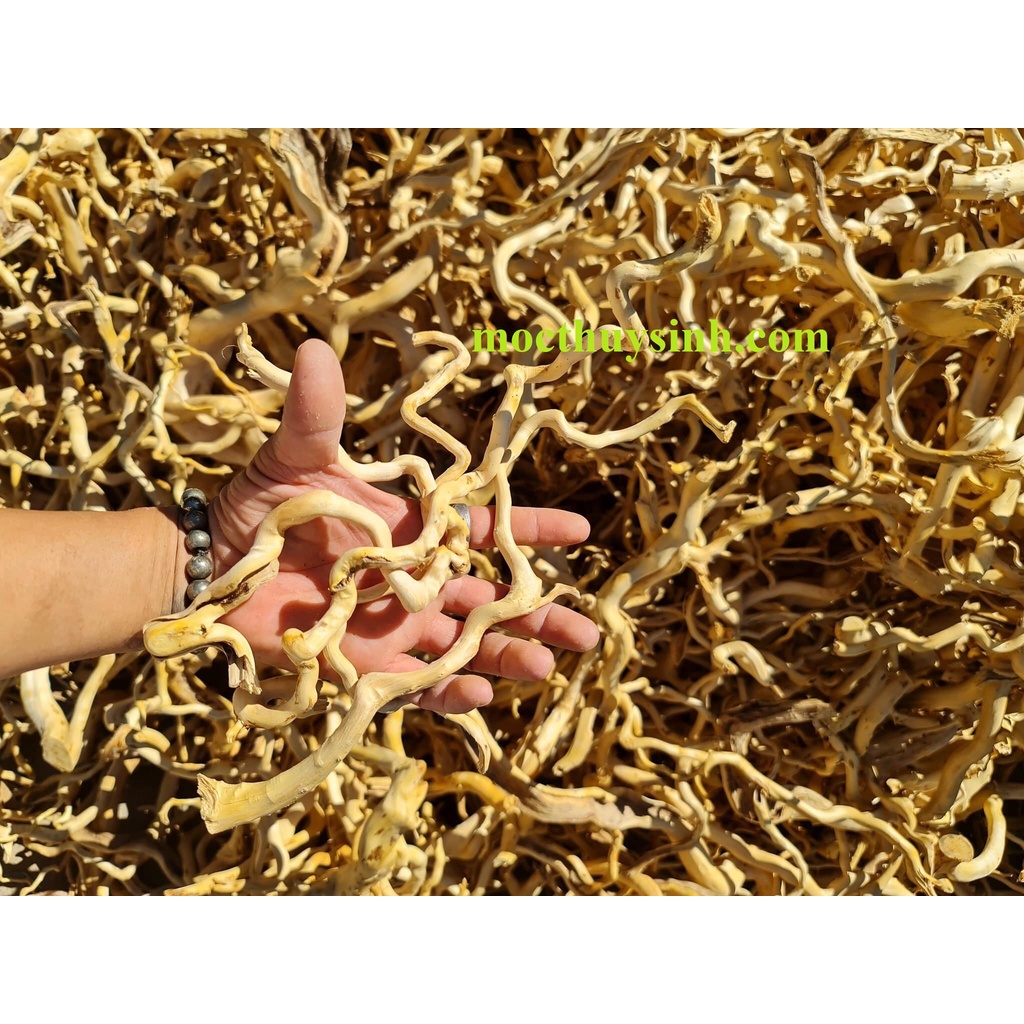 RIGHT ROOTS 100G DECORATIVE LAYOUT FOREST, AQUARIUM FISH POOL