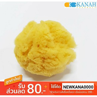 ส่งฟรี!! Natural Sponge ฟองน้ำจากธรรมชาติ100% จากทะเลเมดิเตอร์เรเนียน