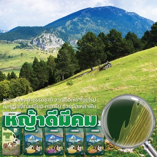 Mountain Hay หญ้าแห้งสำหรับ หนู กระต่าย