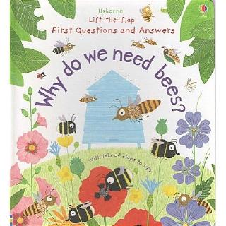 DKTODAY หนังสือ USBORNE LIFT-THE-FLAP WHY DO WE NEED BEES