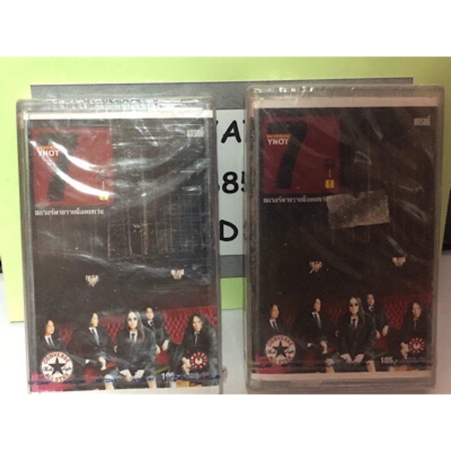 Y Not 7 อัลบัม Never Die