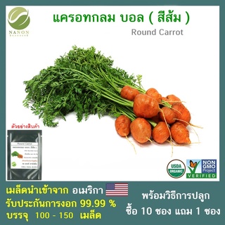 เมล็ดแครอทกลม บอล (สีส้ม)  จำนวน 100-150 เมล็ด