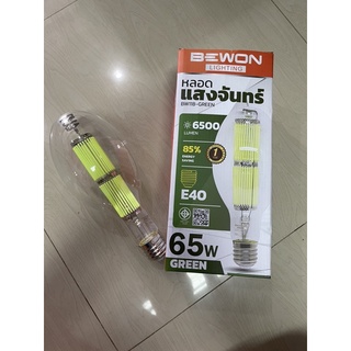 หลอดแสงจันทร์ LED แสงเขียว 65W 220V BEWON หลอดไดหมึก จับหมึก