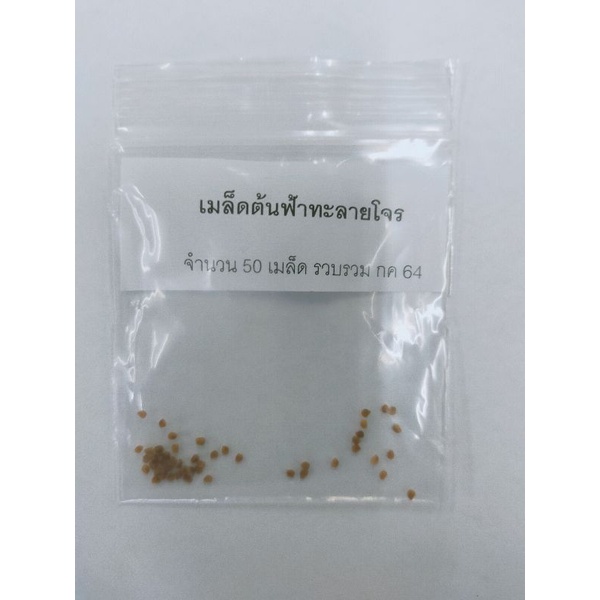 เมล็ดต้นฟ้าทะลายโจรเก็บใหม่ มิย. 2567 200 เมล็ด แต่ไม่ได้ up รูปใหม่นะคะ