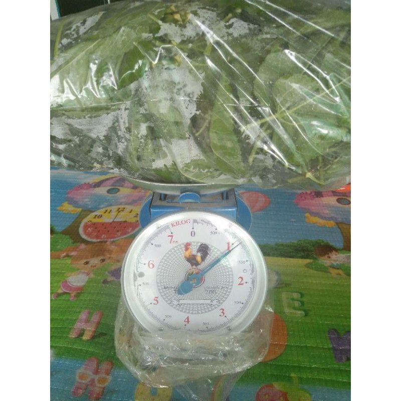 ใบหม่อนปลอดสารพิษ4000กรัม หรือ4กิโลกรัม