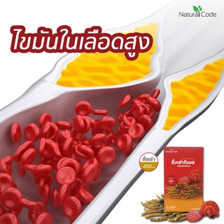 ถั่งเช่า ทิเบต 450 mg ผสมเห็ดหลินจือแดง ลดไขมันในเลือด ลดความดัน ลดเบาหวาน บำรุงไต 10 แคปซูล/กล่อง