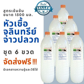 จุลินทรีย์จาวปลวก เจ้าต้นตำรับ ขวดใหญ่ขนาด1.5 ลิตร จำนวน 6 ขวด จัดส่งฟรี หัวเชื้อสูตรเข้มข้น ออแกนนิค 100%