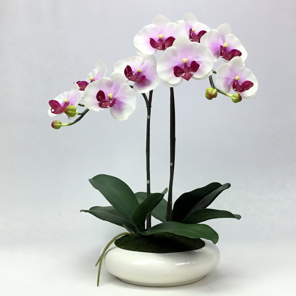 OrientalFineArt ดอกกล้วยไม้ประดิษฐ์ phalaenopsis orchid plant pot arrangement
