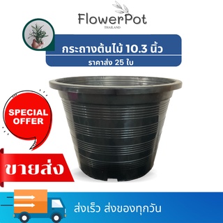 (25 ใบ) กระถางต้นไม้ 10 นิ้ว รุ่นหนา  ปากกว้าง 10.3 นิ้ว  กระถางพลาสติก กระถางมินิมอล