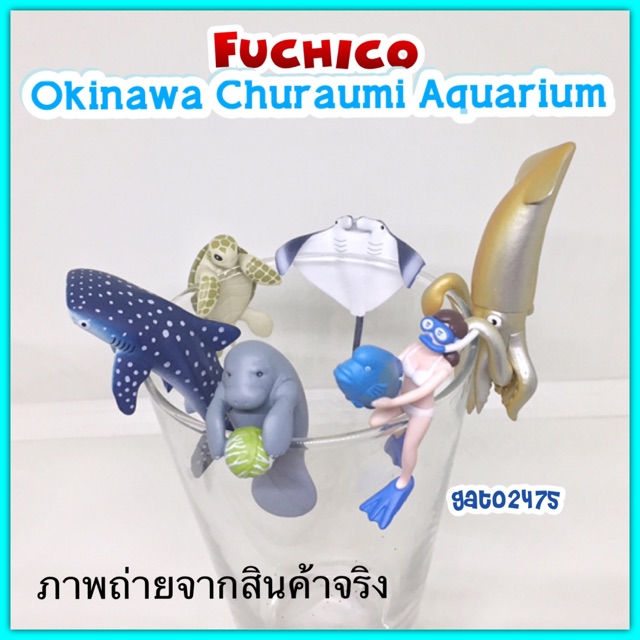 Fuchico Okinawa Churaumi Aquarium๏มีสินค้าพร้อมส่ง๏