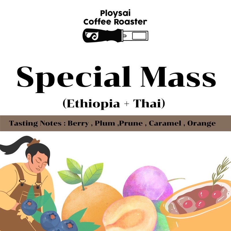 เมล็ดกาแฟ Special mass [Ethiopia + Thai ]