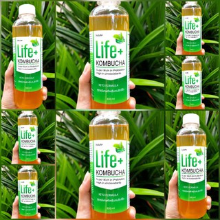 Keto สูตร Green Tea แพค 8 ขวดคีโต Life+ KOMBUCHA raw organic 330ml คอมบูชา คอมบูชะ ชาหมัก ดีท็อกซ์ โพรไบโอติก probiotic