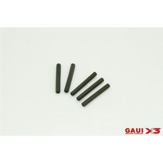 216151-GAUI Hexagonal Post pack (5pcs)