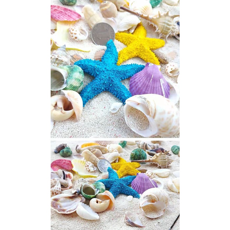 ปลาดาวจําลอง เครื่องประดับ สําหรับตกแต่งตู้ปลา มหาสมุทร - รูปที่ 7