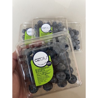 บลูเบอร์รี่ Blueberry รสหวาน อมเปรี้ยว แพ็คละ 125g. ผลไม้นำเข้า ผลไม้นานาชาติ premiumfruit