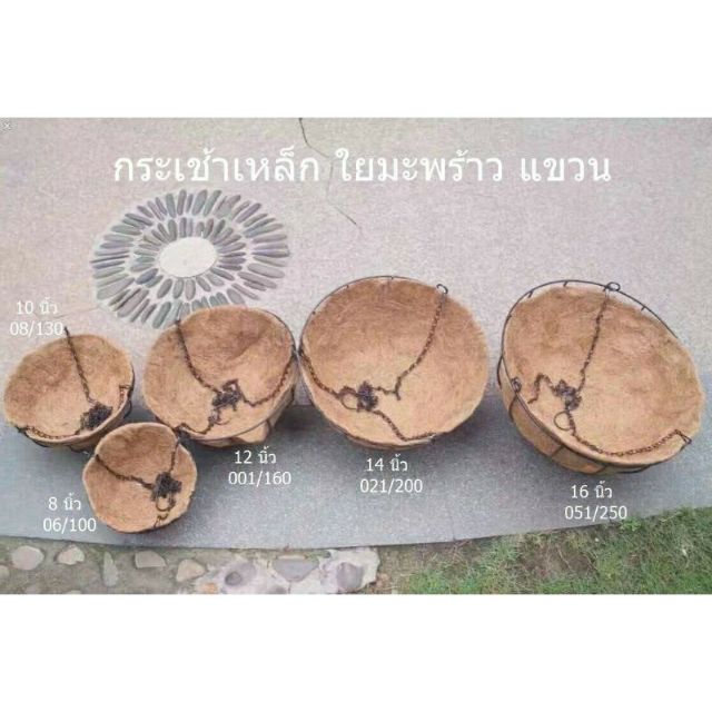 ส่งเร็ว กระเช้าใยมะพร้าวโครงเหล็กสีดำ มีโซ่ห้อย ใช้ใส่ต้นไม้จริง ต้นไม้ประดิษฐ์ มีหลายไซร์