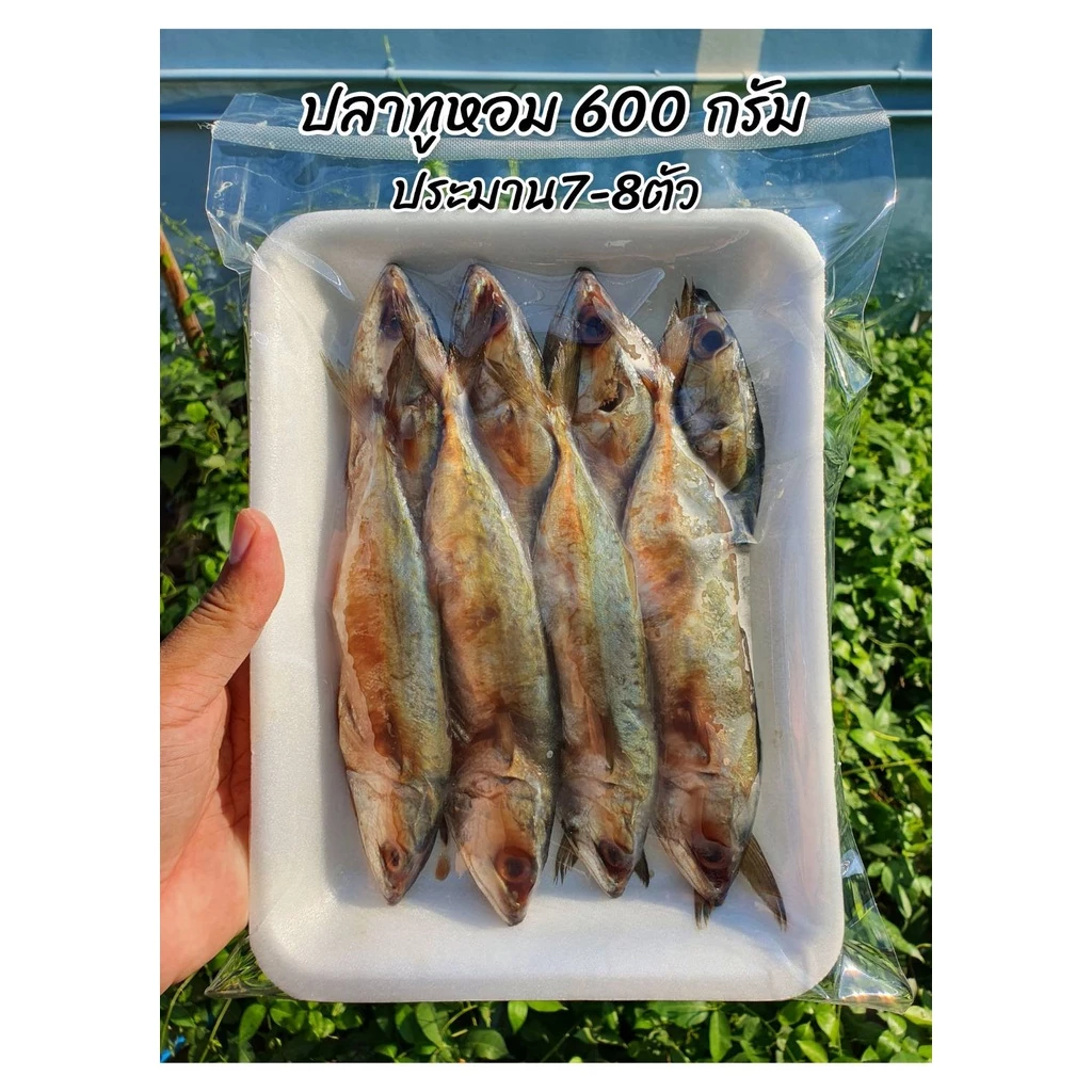 ปลาทูเค็มหอม น้ำหนัก 600กรัม ปลาทูมัน ตัวไซส์ตามภาพสินค้า ไม่เค็มมาก ประมาน 7-8 ตัว