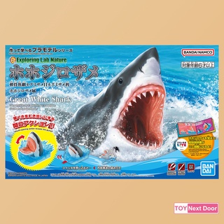 [Bandai] EXPLORING LAB NATURE GREAT WHITE SHARK