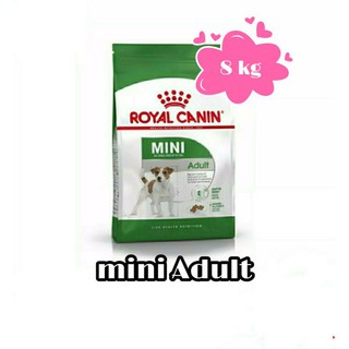 Royal Canin Mini Adult  8 kg อาหารสุนัขโต ขนาดเล็ก อายุ 10 เดือน-8 ปี