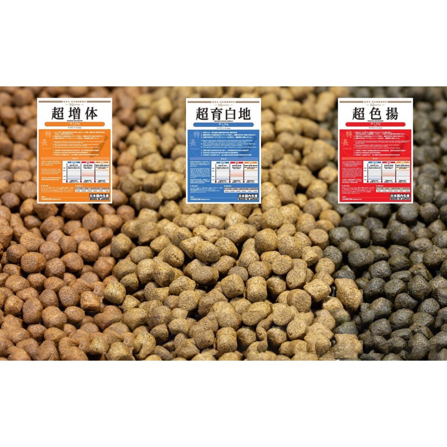 Odakan 🐠 อาหารปลาคาร์ฟ Premium 🐟นำเข้าจากญี่ปึ่น