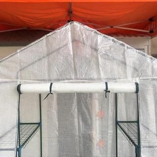 โรงเรือนปลูกพืช โรงเรือนปลูกผัก โรงเรือนแคคตัส Greenhouse (MS-GR003)