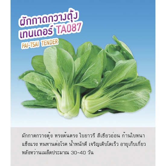 เมล็ดผักกาดกวางตุ้ง (ฮ่องเต้) เทนเดอร์ จากไต้หวัน น้ำหนักดี แข็งแรง ทนโรค โตเร็ว ต้นตรง ใบยาวรี สีเขียวอ่อน ก้านใบหนา