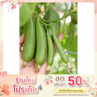 เมล็ดพันธุ์ บวบพวง 30เมล็ด