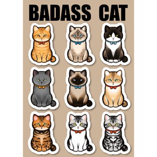 MAGNET SET BADASS CAT ชุดแม่เหล็ก แมวกวน