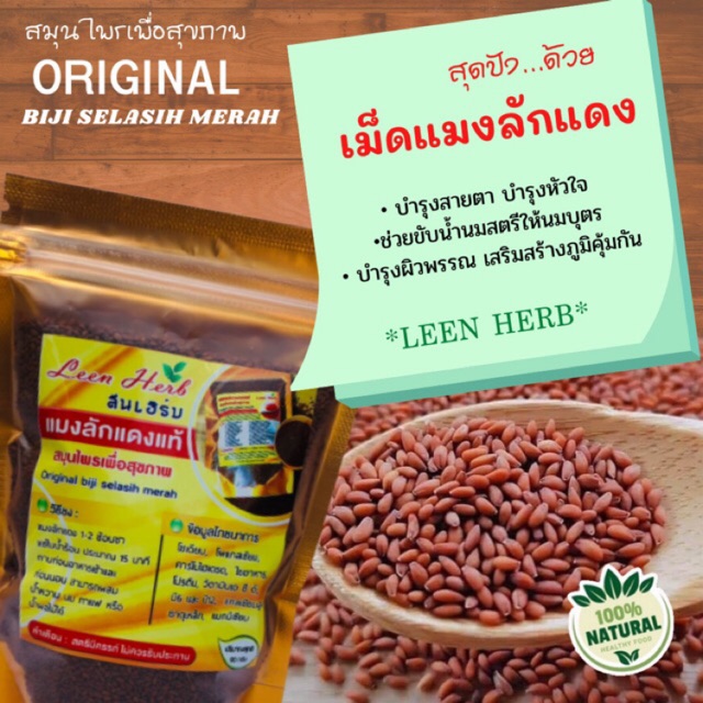 แมงลักแดง เกรดA+สมุนไพรแท้ 100% Leen Herb (90 กรัม)