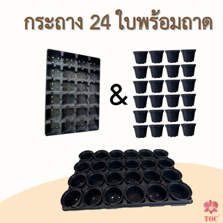 ชุดถาดหลุมพลาสติกยกกระถาง 2 in 1 สีดำ 24 หลุม พร้อมกระถาง 2.5 นิ้ว 24 ใบ กระถางสำหรับเพาะชำพืช