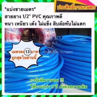 สายยาง 1/2" (4หุน) สายยางฟ้า 20m เหนียว เด้ง ไม่แตก สายยางนิ่ม สายยางรดน้ สายยางสีฟ้า APSHOP2022