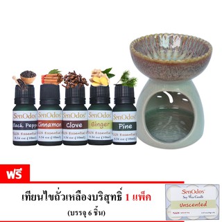 SenOdos ชุดเซ็ต น้ำมัน + เตาเผา น้ำมันหอมระเหย (ชุดกลิ่นกลิ่นสำหรับผู้ชาย) Essential Oil For Men Set2 10 ml x 5 กลิ่น