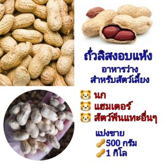 ถั่วลิสงอบแห้ง 1กิโล สำหรับนกแก้วและสัตว์ฟันแทะ แบ่งขาย เกรดอาหารว่างสำหรับสัตว์เลี้ยง