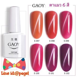 สีเจลกอย Gaoy ตาแมว 6 เฉดสี สีเจลแม่เหล็ก ดึงตาแมวสวย สีสดใสมากแม่