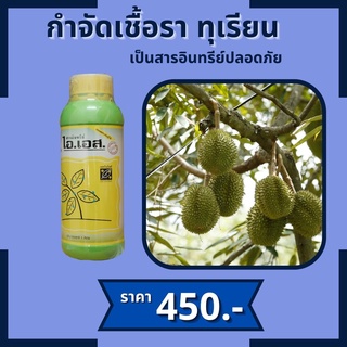 ทุเรียน ใบไหม้ ราดำ ราแป้ง กำจัดโรคทุเรียน จากเชื้อราต่างๆ ปลอดสารพิษ ไอเอส และ FK-T(ใช้ได้ทุกพืช)โดย FK