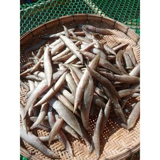 ปลาหลดแดดเดียวขนาด​ 500​ กรัม​